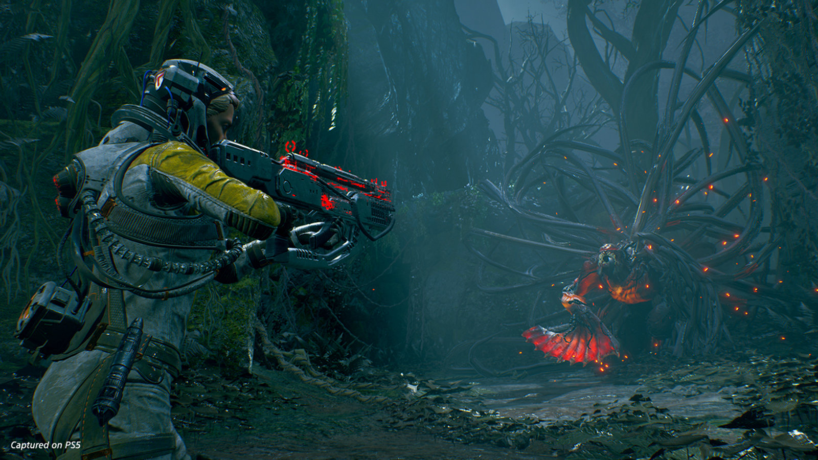 Odoo - Sample 1 for three columns