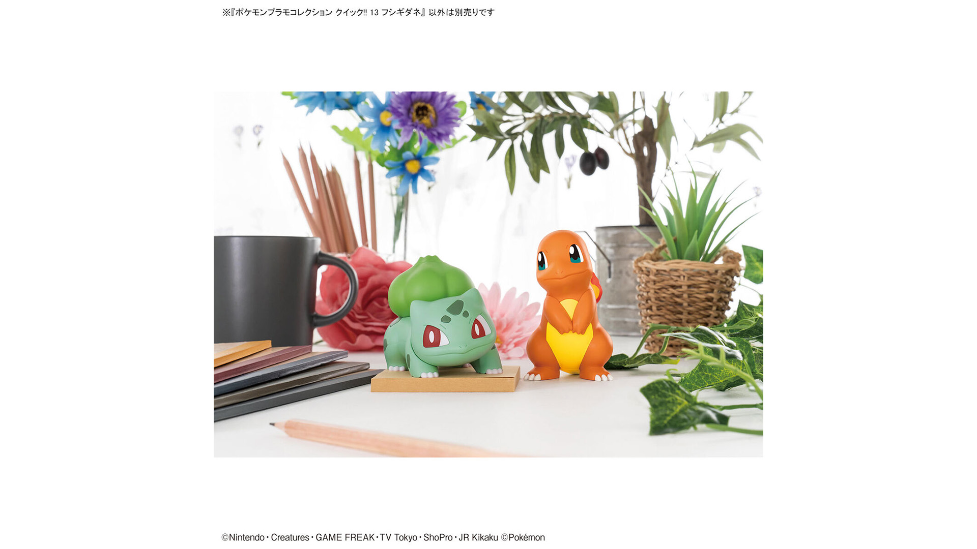 Odoo CMS - Gallery sample